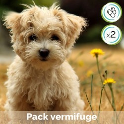 Pack vermifuge en gélules - contient Cani TAO-FU et Cani TAO-CHONG
