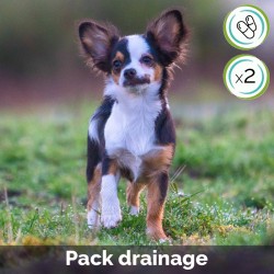 Pack Drainage digestif et toxines en gélules - contient Cani TAO-FU et Cani TAO-XIAO