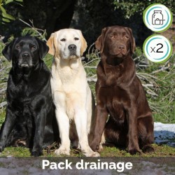 Kit Drainage digestif et toxines en poudre - contient Cani TAO-FU et Cani TAO-XIAO