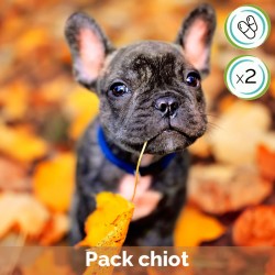 Pack chiot en gélules - contient Cani TAO-CHONG et Cani TAO-YU