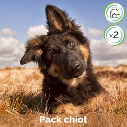 PACK 3 - Chiots - 100 g