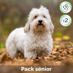 Pack Sénior en gélules - contient Cani TAO-MING et Cani TAO-TIAN