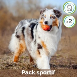 Pack Sportif en poudre - contient Cani TAO-SPORT et Cani TAO-YIN