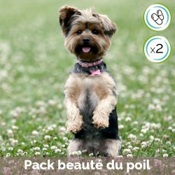 Pack Beauté du poil en gélules - contient Cani TAO-SKIN et Cani TAO-YIN