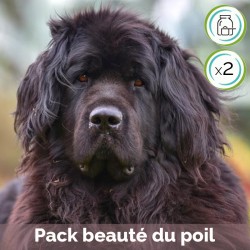 Pack Beauté du poil en poudre - contient Cani TAO-SKIN et Cani TAO-YIN