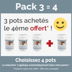 Pack promo - Equi TAO-BI - Utilisé en cas de sinusite, abcès dentaire, conjonctivite - pour cheval