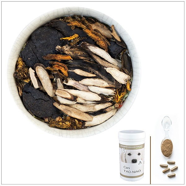 Cani TAO-NIAO - A utiliser en cas d'insuffisance rénale, taux de créatinine élevé - pour chien Cani TAO-NIAO - A utiliser en cas d'insuffisance rénale, taux de créatinine élevé - pour chien