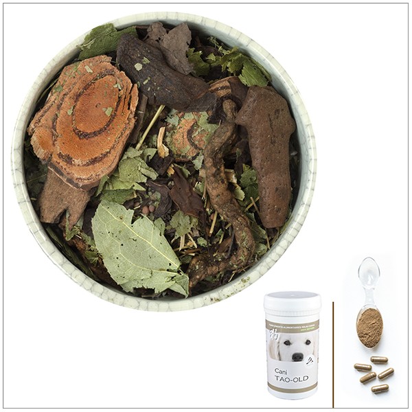 Cani TAO-OLD - A utiliser en cas de dysplasie de la hanche, déformation osseuse, bec de perroquet - pour chien Cani TAO-OLD - A utiliser en cas de dysplasie de la hanche, déformation osseuse, bec de perroquet - pour chien