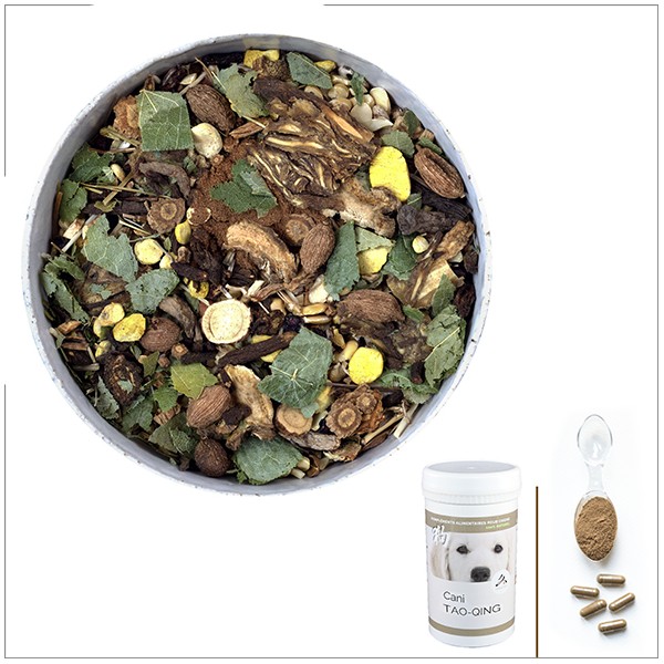Cani TAO-QING - A utiliser en cas d'épilepsie chez le chien Cani TAO-QING - A utiliser en cas d'épilepsie chez le chien