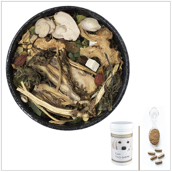 Cani TAO-SHEN - A utiliser en cas de maladie de Cushing chez le chien Cani TAO-SHEN - A utiliser en cas de maladie de Cushing chez le chien