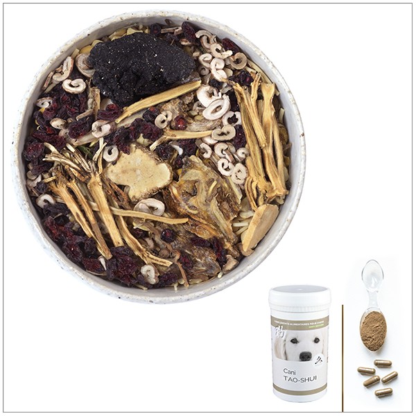 Cani TAO-SHUI - A utiliser en cas d'Œdème du poumon ou d'ascite chez le chien Cani TAO-SHUI - A utiliser en cas d'Œdème du poumon ou d'ascite chez le chien