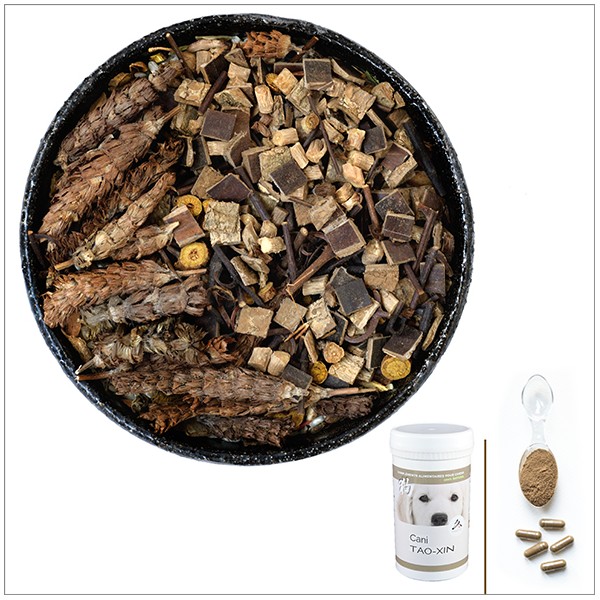Cani TAO-XIN - A utiliser en cas de toux chronique, toux cardiaque, insuffisance cardiaque, fibrose pulmonaire - pour chien Cani TAO-XIN - A utiliser en cas de toux chronique, toux cardiaque, insuffisance cardiaque, fibrose pulmonaire - pour chien