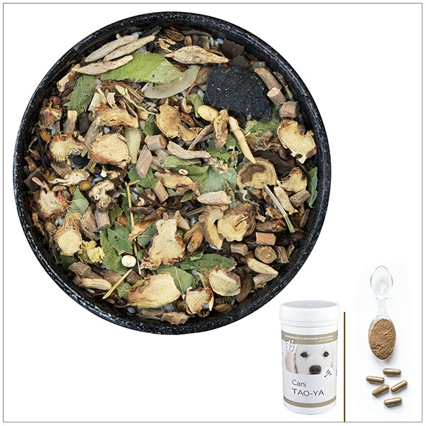 Cani TAO-YA - A utiliser en cas de mauvaise haleine, gingivite, Soif excessive, constipation - pour chien Cani TAO-YA - A utiliser en cas de mauvaise haleine, gingivite, Soif excessive, constipation - pour chien