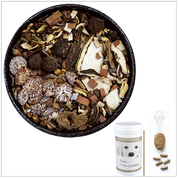 Cani TAO-CHONG - Vermifuge à utiliser en cas de vers intestinaux, ascaris, tenias, candidas, giardiose - pour chien Cani TAO-CHONG - Vermifuge à utiliser en cas de vers intestinaux, ascaris, tenias, candidas, giardiose - pour chien