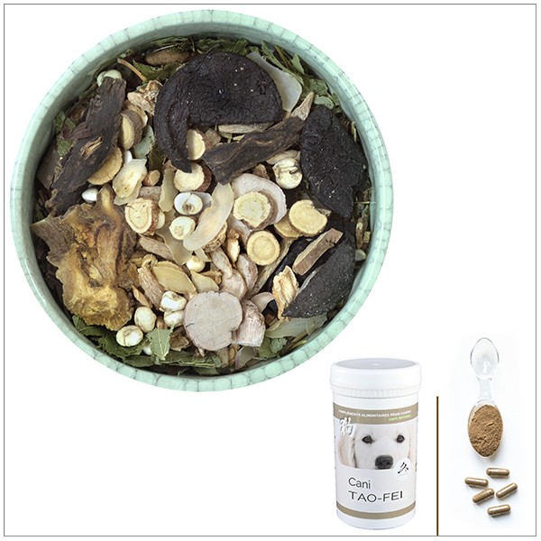 Cani TAO-FEI - A utiliser en cas de Toux, Fibrose, Emphysème - pour chien Cani TAO-FEI - A utiliser en cas de Toux, Fibrose, Emphysème - pour chien