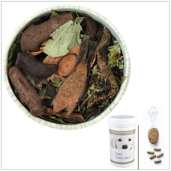 Cani TAO-GU - A utiliser en cas de cancer des os, tumeur osseuse, chondrosarcome, ostéosarcome - pour chien Cani TAO-GU - A utiliser en cas de cancer des os, tumeur osseuse, chondrosarcome, ostéosarcome - pour chien