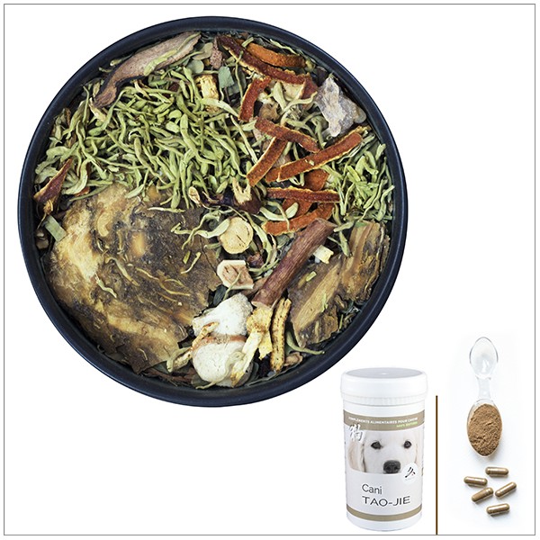 Cani TAO-JIE - A utiliser en cas de cancer des ganglions lymphatiques, lymphome, cancer du système lymphatique - pour chien Cani TAO-JIE - A utiliser en cas de cancer des ganglions lymphatiques, lymphome, cancer du système lymphatique - pour chien