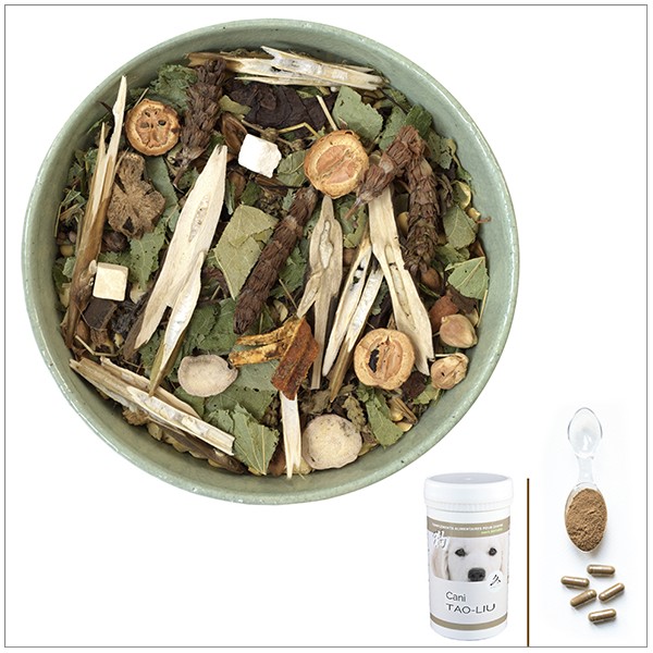 Cani TAO-LIU - A utiliser en cas de tumeur mammaire, adénocarcinome, tumeurs internes, cancers - pour chien Cani TAO-LIU - A utiliser en cas de tumeur mammaire, adénocarcinome, tumeurs internes, cancers - pour chien