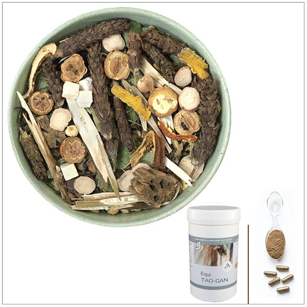 Equi TAO-GAN / Confort & Mamelles Jument