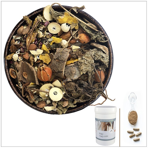 Equi TAO-YAN - A utiliser en cas de fourbure, inflammation des pieds, articulations, arthrose - pour cheval Equi TAO-YAN - A utiliser en cas de fourbure, inflammation des pieds, articulations, arthrose - pour cheval