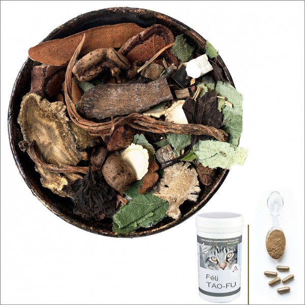 Digestion, problèmes digestifs, gaz, diarrhée, mauvaise haleine, vomissements, douleurs abdominales, chat Digestion, problèmes digestifs, gaz, diarrhée, mauvaise haleine, vomissements, douleurs abdominales, chat