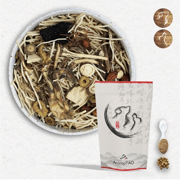 Cani TAO-CALM / Equilibre & Comportement Chien