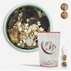 Cani TAO-FEI / Toux Chien