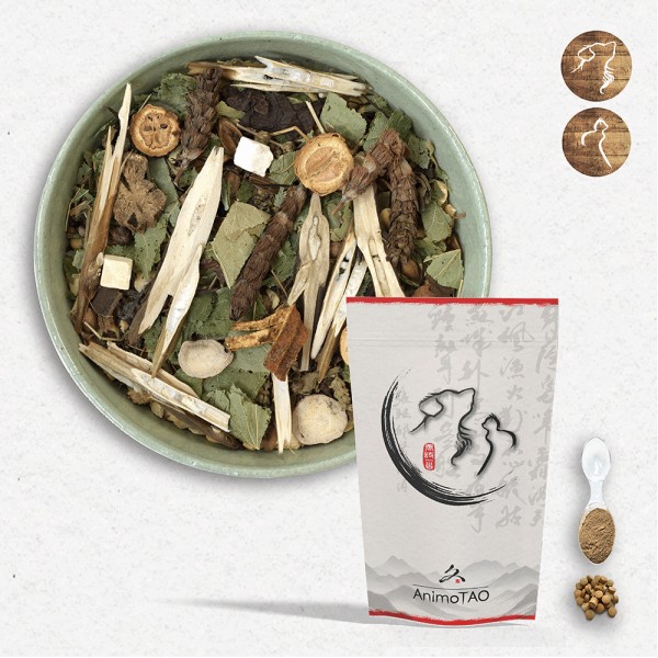 Cani TAO-LIU / Cancer & Tumeur Chien