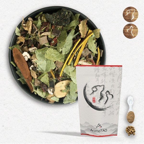 Cani TAO-YIN / Revitalisant Chien