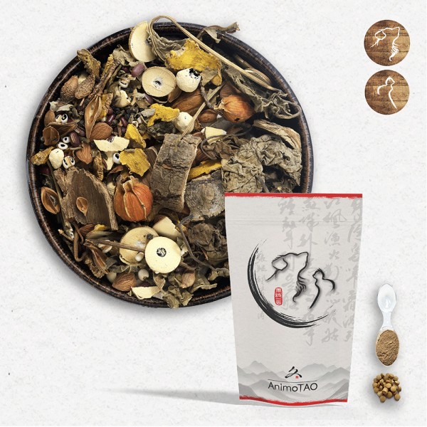 Cani TAO-YAN / Inflammation Articulaire Chien