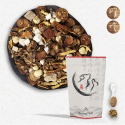 Cani TAO-TIAN / Chien Sénior