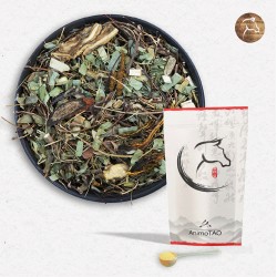 Equi TAO-CHUANG Post - Utilisé en cas d'abcès aux postérieurs - pour cheval