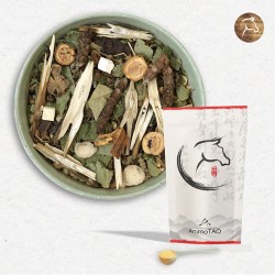 Equi TAO-LIU - utilisé en cas de tumeur mammaire, adénocarcinome mammaire, tumeurs internes - pour cheval
