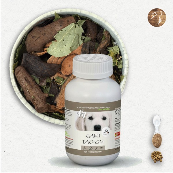 Cani TAO-GU - A utiliser en cas de cancer des os, tumeur osseuse, chondrosarcome, ostéosarcome - pour chien