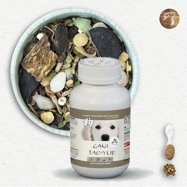 Cani TAO-YUE - A utiliser en cas de cancer du poumon, tumeur au poumon, métastase au poumon - pour chien