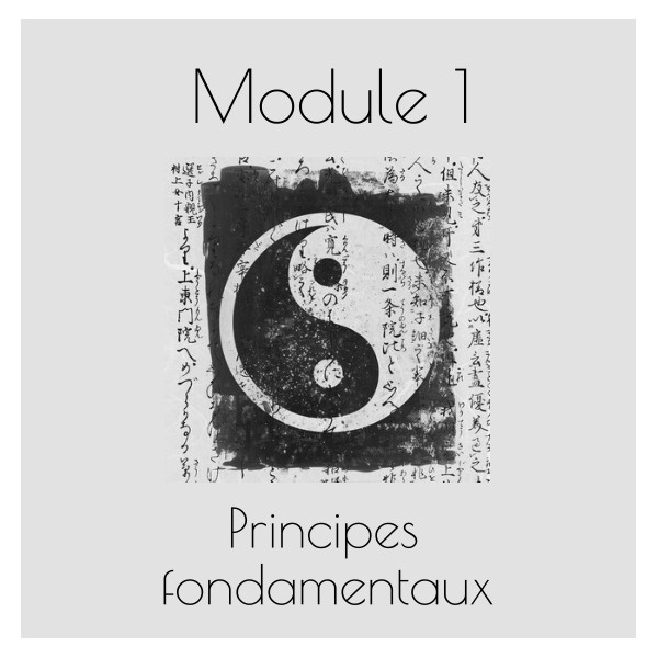 Principes fondamentaux de la Médecine Traditionnelle Chinoise (MTC) - Module 1 - Jean-Luc Klein