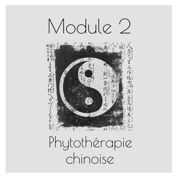 Module 2 - Phytothérapie chinoise, plantes médicinales chinoises - Animé par Jean-Luc Klein
