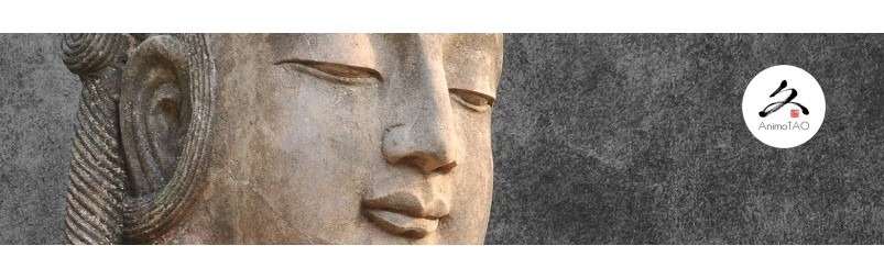 Pure-TAO, 5000 ans de tradition chinoise. Compléments alimentaires pour toute la famille, 100% naturel - Sans additif