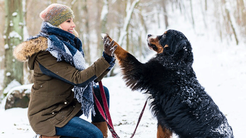 Femme jouant avec son chien dans la neige