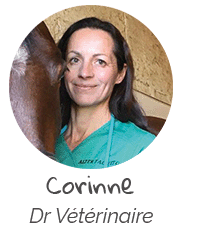 Corinne, Docteur Vétérinaire