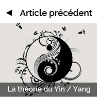 La théorie du Yin / Yang