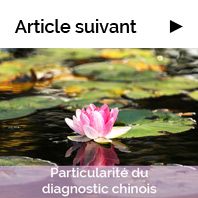 Particularité du diagnostic chinois