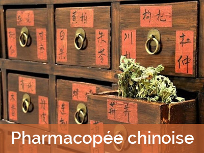 La pharmacopée chinoise