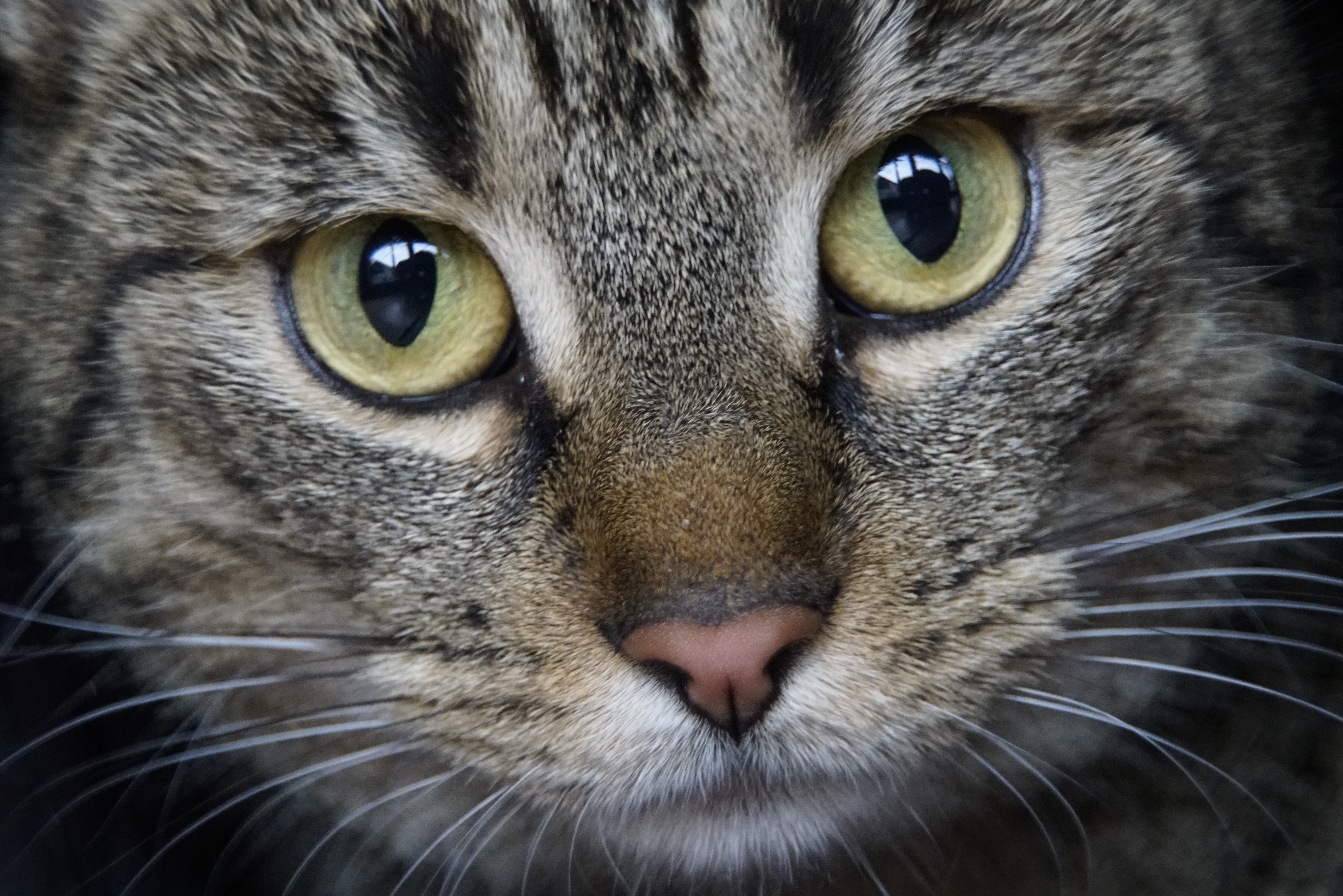 chat-love