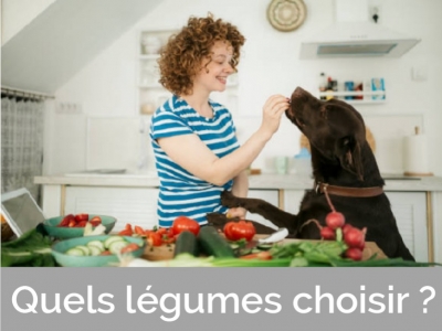 Quels légumes choisir pour son chien ?